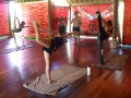 Bali-August-2013-HotBikRamRetreats (54)