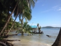 panama-2014-hotbikramretreats (46)