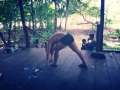 panama-july-14-hotbikramretreats (33)